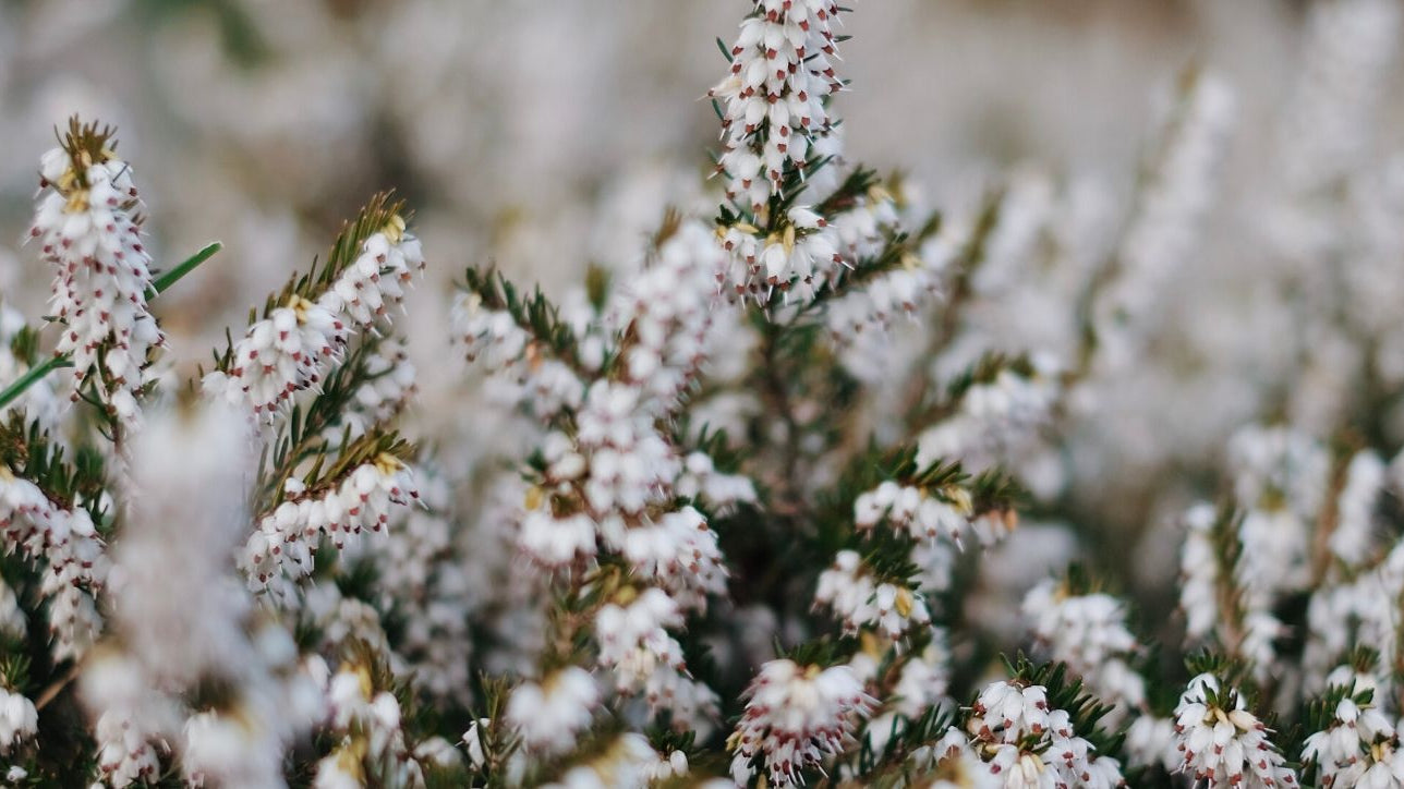 10 Thoughtful and Long-Lasting Gifts for Mum - Buy Me Once UK