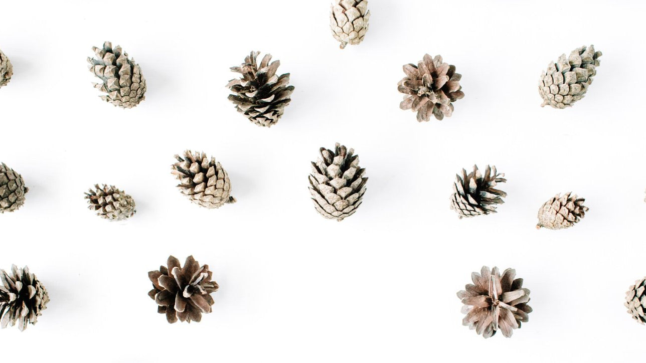 25 Sustainable Homeware Gifts that Last - Buy Me Once UK