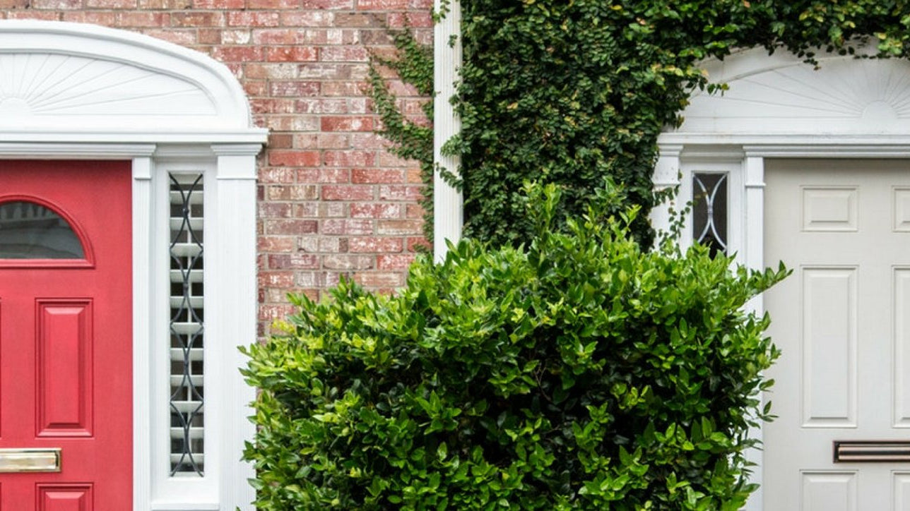 5 Tips to Make Your Home-Share More Eco-friendly - Buy Me Once UK