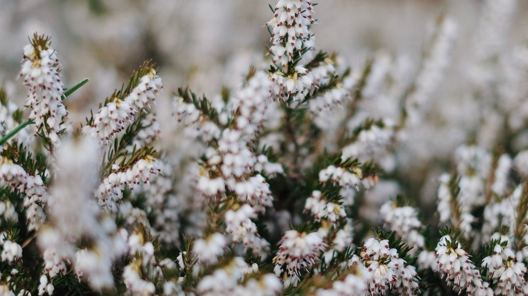 A resolution you'll actually keep. Trust us. - Buy Me Once UK