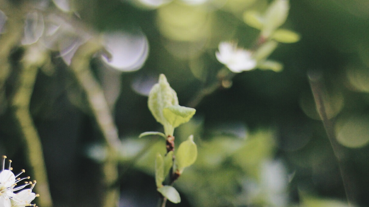 BuyMeOnce’s 8 Reasons to be Optimistic for 2020