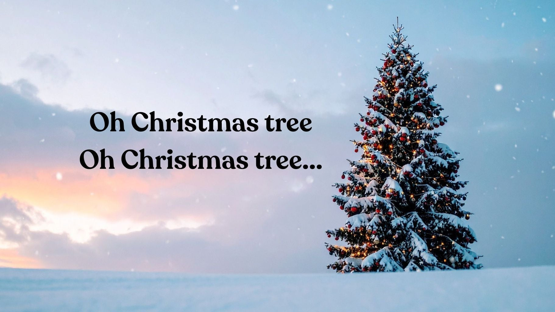 Eco Christmas Tree Guide: Real, Fake, Rented or Potted?
