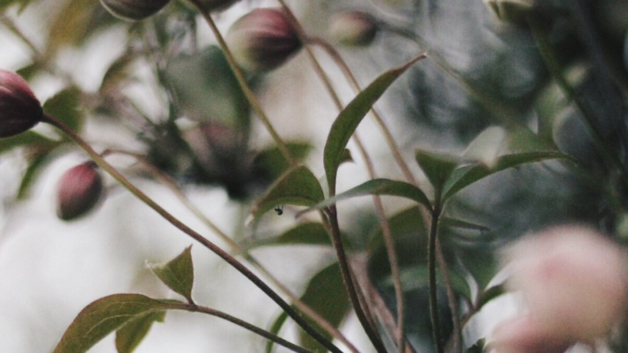 Tara Button: 2019 in Review - Buy Me Once UK