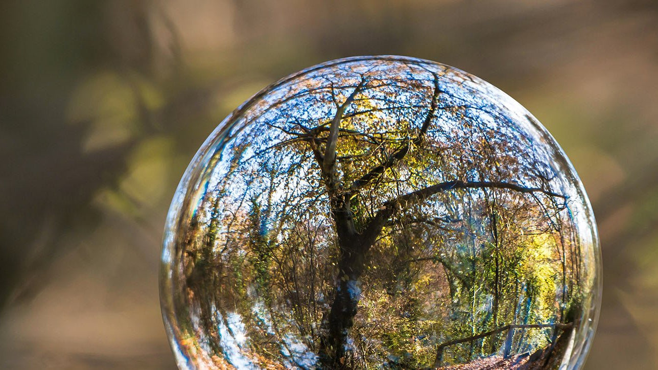 Ten Easy Habits to Help Save the Planet - Buy Me Once UK