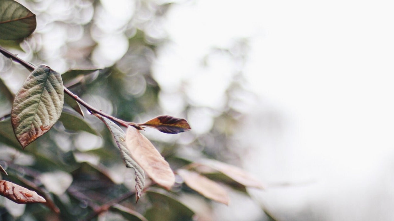 We're open and operating as usual - Buy Me Once UK