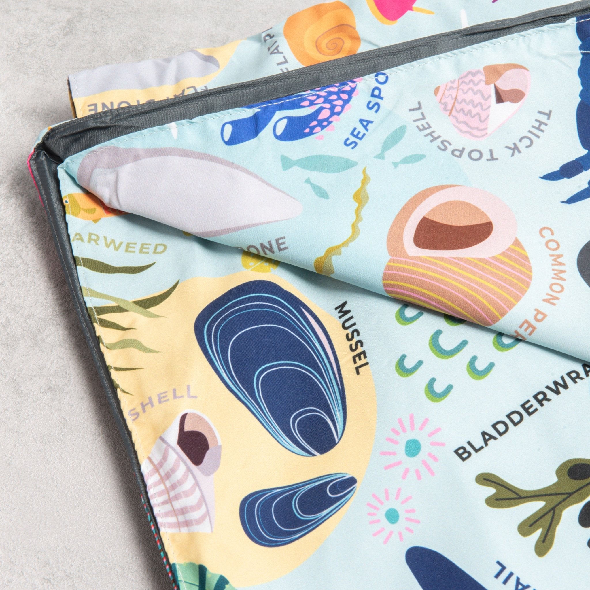 Pacmat - Beach Print, Recycled Material, Waterproof Picnic Blanket, XL - Buy Me Once UK