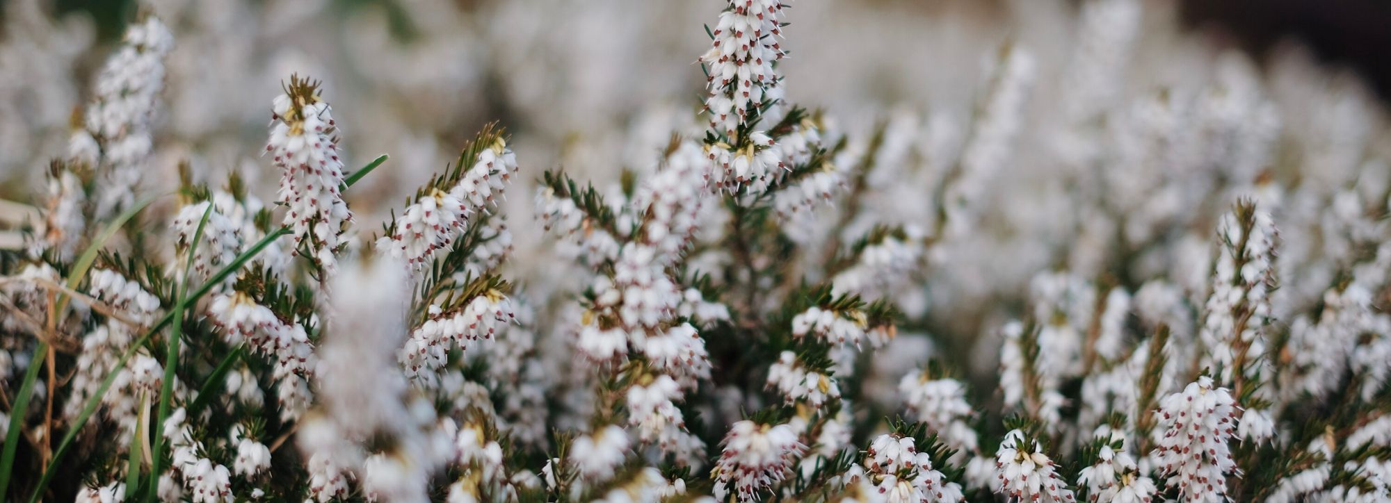 10 Thoughtful and Long-Lasting Gifts for Mum - Buy Me Once UK