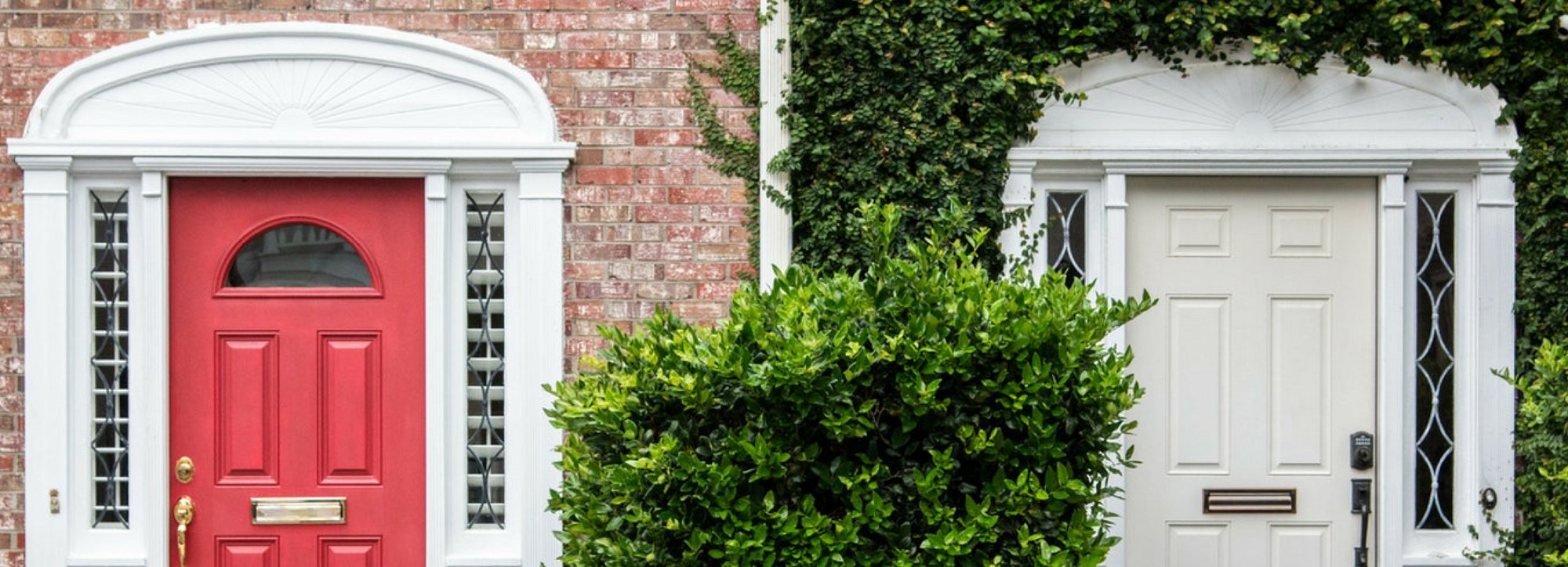 5 Tips to Make Your Home-Share More Eco-friendly - Buy Me Once UK