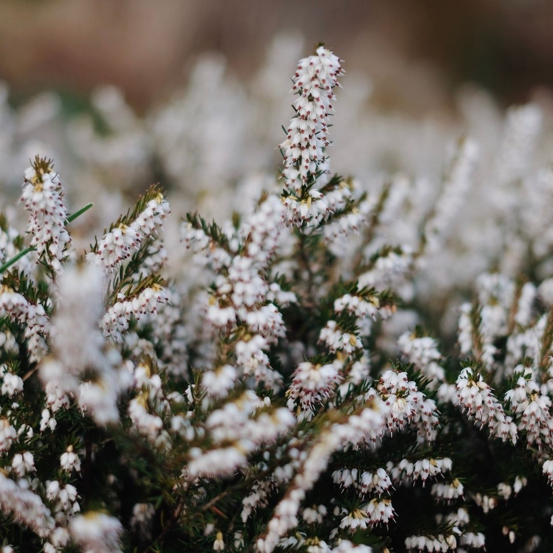 A resolution you'll actually keep. Trust us. - Buy Me Once UK