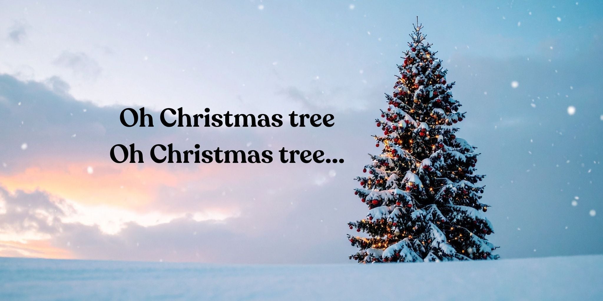 Eco Christmas Tree Guide: Real, Fake, Rented or Potted?