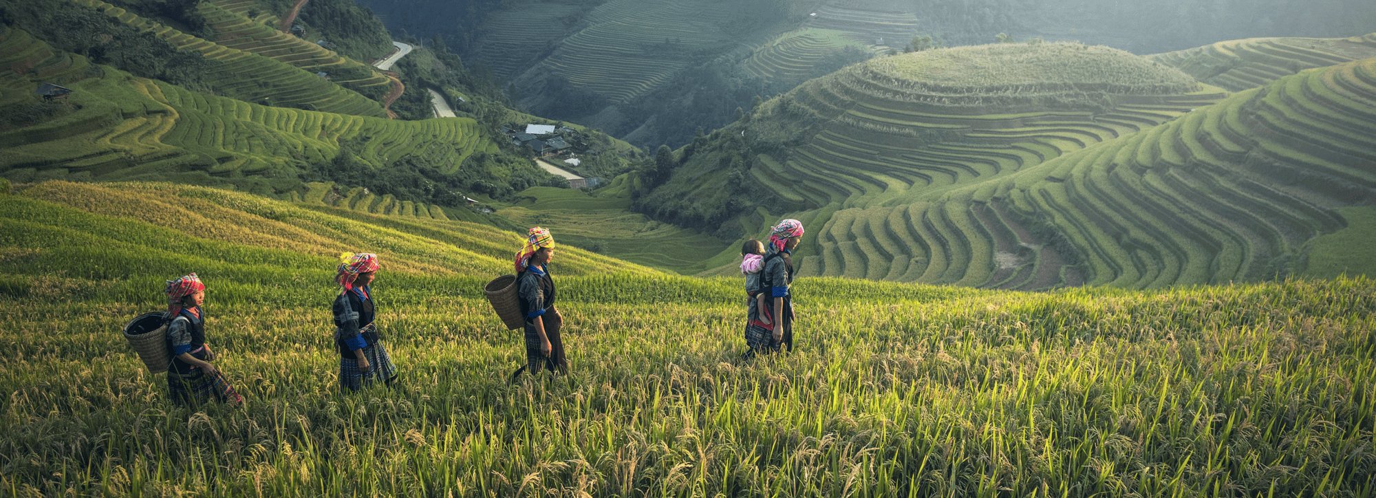 Is Fairtrade, the most important ethical standard, under threat? - Buy Me Once UK