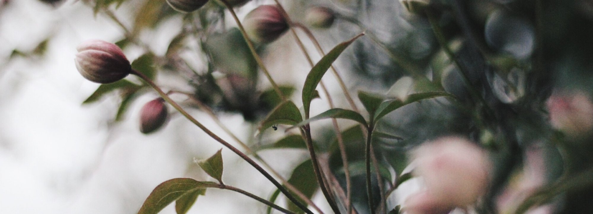 Tara Button: 2019 in Review - Buy Me Once UK