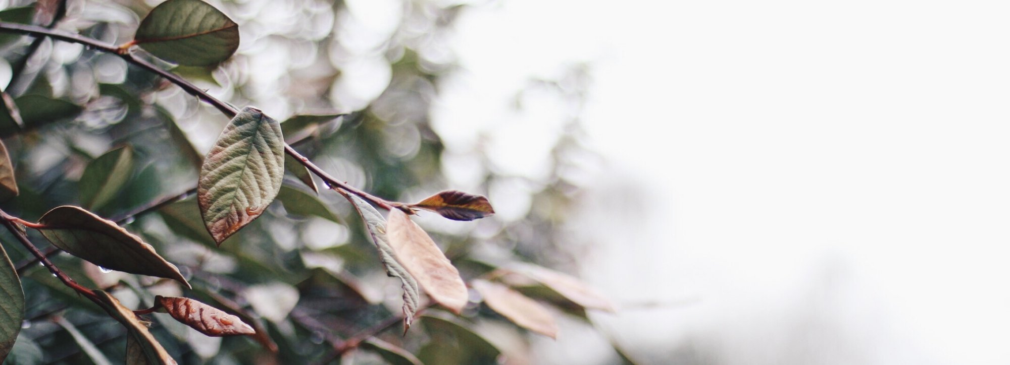 We're open and operating as usual - Buy Me Once UK