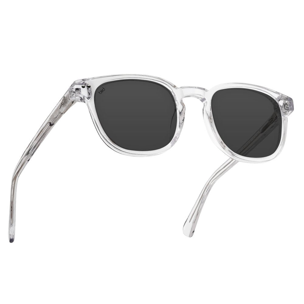 Bird Eyewear - Athene, Clear Plant-Based Sunglasses - Buy Me Once UK