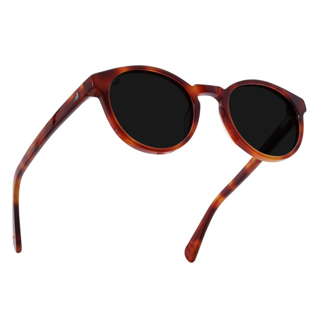 Bird Eyewear - Kaka Plant-Based Sunglasses, Caramel - Buy Me Once UK