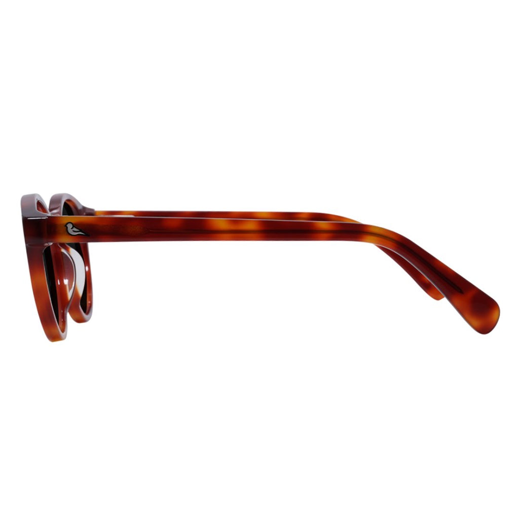 Bird Eyewear - Kaka Plant-Based Sunglasses, Caramel - Buy Me Once UK